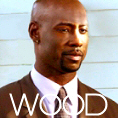 Principal Robin Wood (D.B. Woodside)